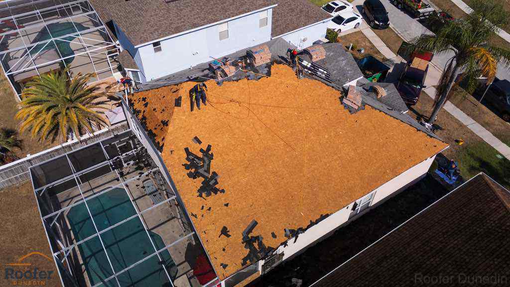 Roof Leak Dunedin Roof Leak Dunedin